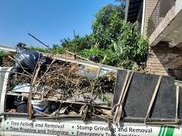 Best Moving and Downsizing Cleanouts  in Cedar Park, TX